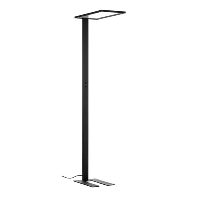 Produktbild von Prios LED-Bürostehleuchte Taronis, schwarz, 195 cm, dimmbar