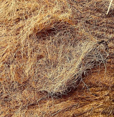 Productafbeelding van Natuurlijk Vulwatten van 100% Kokosvezel, 3 kg
