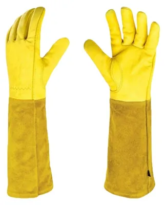 Image de Gants de jardin longs pour la protection lors des travaux de jardinage