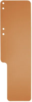 Obrázok produktu pre Exacompta 13709B 100er Aktenschwänze orange