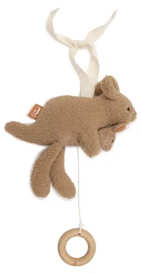 Image de Boîte à musique - Kangaroots