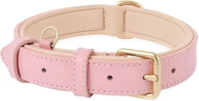 Produktbild von Hundehalsband Leder Hundehalsband mit gepolstert und echtes Leder, Verstellbar, Halsband für Welpen Kleine Hunde, Rosa, XS | Hunde Halsband Echtes Leder, Halsband für Welpen Kleine Mittel Große Hunde