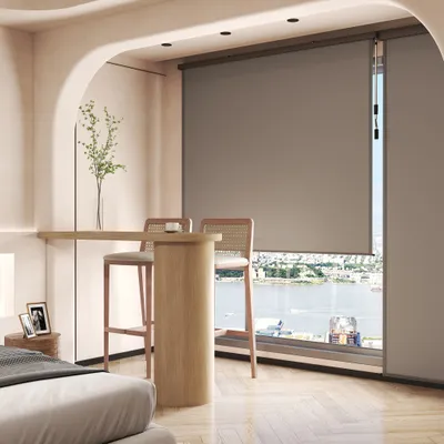 Image de LARS360 Gris 160×250cm Store à enroulement vertical pour l'extérieur, store vertical pour fenêtres et balcons, système de stores avec protection contre le soleil, le vent et la pluie
