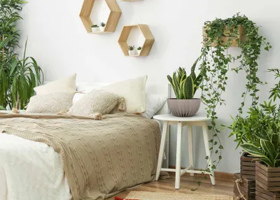 Produktbild von HowHomely Blumentopf Rund 14 cm Höhe, Pflanzkübel, Hellbraun Übertopf für garten balkon