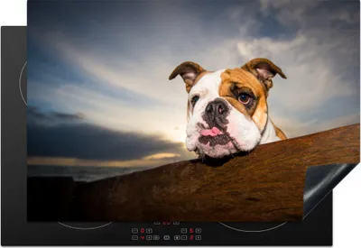 Produktbild von KitchenYeah© Herdabdeckplatte Englisch - Bulldogge - Luft , 78x52cm, Küche Deko, Glaskeramikkochfeld Herdabdeckung, Abdeckplatte fùr Kochfeld