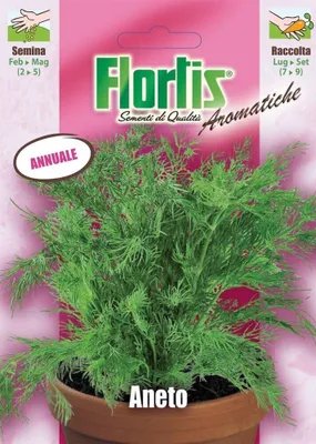 Produktbild von Samen für Pflanzen mit 100-150 cm Wuchshöhe und 15-22°C Keimtemperatur
