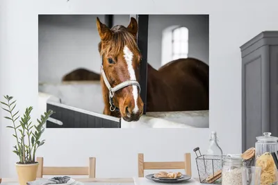 Produktbild von MuchoWow® - Selbstklebend - Fototapeten