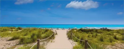 Produktbild von Wallario selbstklebendes Poster - Sandweg zum blauen Meer mit blauem Himmel, Größe: 80 x 200 cm