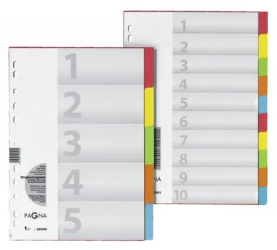 Image de Index cartonné PAGNA, DIN A4 extra large, 10 parties, vierge, cartonné, coloré, perforateur universel