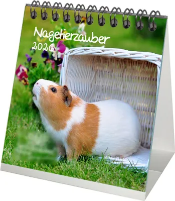 Produktbild von Nagetierzauber Tischkalender 10cm x 10cm für 2026 Hamster Ratte Maus Chinchilla Hase - Set: 1x Kalender 1x Weihnachtsanhänger 1x Grußanhänger (gesamt 3 Teile)