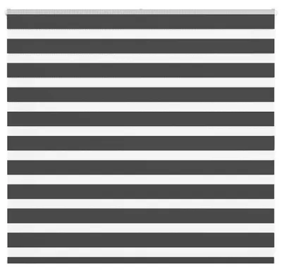 Obrázek produktu pro vidaXL Dvojitá roleta Černá 155x100 cm Šířka látky 150,9 cm Polyester