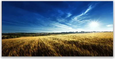 Produktbild von Tulup Leinwand-Bilder 140x70 Wandbild Canvas Kunstdruck Acker Himmel Natur