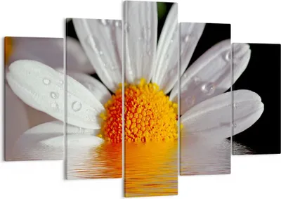 Produktbild von Bild auf Leinwand - Leinwandbild - Kraut Kamille Blume Wasser - 150x100cm - Wand Bild - Wanddeko - Leinwanddruck - Bilder - Kunstdruck - Wanddekoration - Leinwand bilder - Wandkunst - EA150x100-2282