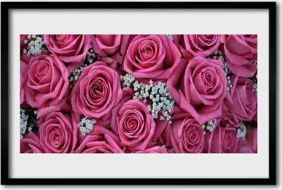 Produktbild von Bild 60x40 MDF-Rahmen Wandkunst Rosen Blumen Pflanzen