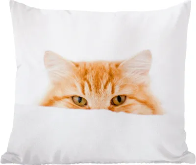 Produktbild von MuchoWow® Zierkissen Sofakissen Wohnzimmer Dekokissen 45x45 cm Katze - Rot - Weiß - Mädchen - Jungen - Kind - Schlafpolster - Polster für das Sofa