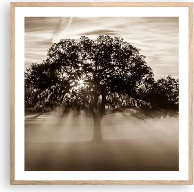 Produktbild von Gerahmtes Poster - Rahmen in heller Eiche - Baum Feld Natur - 60x60 cm - Wand Bild - Wanddeko - Wandbilder - Kunstposter - Wandposter - Bilderrahmen - Bilder - Kunstdruck - Wandbild - P2NAC60x60-3811