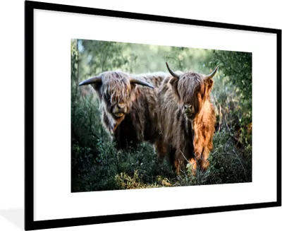 Produktbild von MuchoWow® Gerahmtes Poster Schottische Highlander - Wald - Tiere 90x60 cm - Poster mit Schwarzem Bilderrahmen Wandposter Rahmen Foto Bilder - Wanddekoration - Fotos