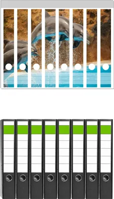 Produktbild von Wallario 8 Stück schmale Ordner inkl. Klebeetiketten mit Motive Springende Delphine -  Set mit Rückenschildern / Ordnerrücken Stickern