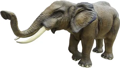 Zdjęcie produktu dla Słoń naturalnej wielkości figura dekoracja rzeźba figury słonia 200cm