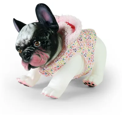 Image de Bouledogue français en costume 26 cm