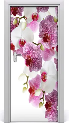 Produktbild von Tulup Türaufkleber 85x205 cm Dekorative Aufkleber Selbstklebend Wasserdichte Tapete Abnehmbar Schlafzimmer Wohnzimmer Wohnkultur - Orchidee