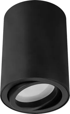 A black cylindrical ceiling light with a swiveling light source.