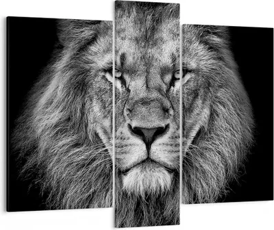 Produktbild von Bild auf Leinwand - Leinwandbild - 3 Teile - Porträt Löwe Schwarzweiß - 95x80cm - Wand Bild - Wanddeko - Wandbilder - Leinwanddruck - Bilder - Wanddekoration - Leinwand bilder - CB95x80-4494