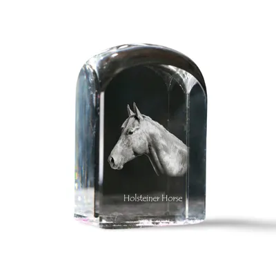 Imagen del producto de Art-Dog Pisapapeles – Caballo Holsteiner