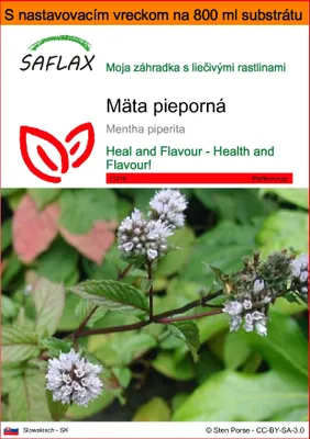 Obrázok produktu pre SAFLAX Garden in the bag - mäta pieporná - Mentha piperita - 300 Semená - S pestovateľským substrátom v praktickom samostaviteľnom vrecku