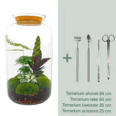 Produktbild von Flaschengarten Botanical Sven XL DIY-Pflanzenterrarium 43 cm incl. Rechen, Schaufel, Pinzette und Schere