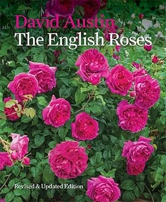 Image de The English Roses