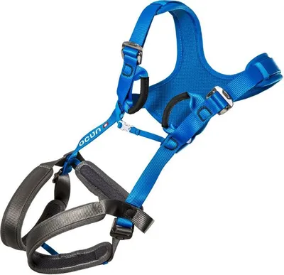 Klettergurt "Doppler" von Ocun in Blau mit verstellbaren Schnallen und gepolsterten Beinschlaufen.