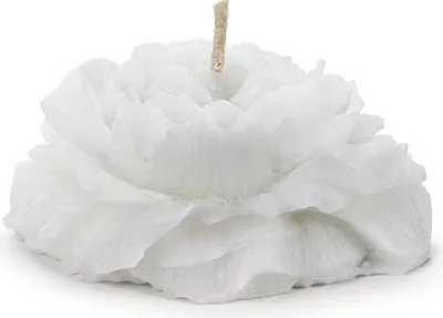 Immagine prodotto di Candele galleggianti in cera di peonia 4x8cm 4 pezzi bianco