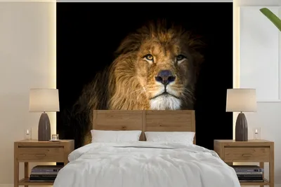 Produktbild von MuchoWow® Fototapete für Wohnzimmer oder Schlafzimmer Wandtapete Vinyl Motivtapete Löwe - Licht - Schwarz - Porträt - 300x300 cm - Wanddekoration