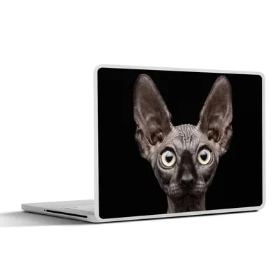 Produktbild von MuchoWow® Laptop Aufkleber Sticker Cover Katze - Haustiere - Porträt - Schwarz 36.5x27.5 cm - Laptop-Sticker