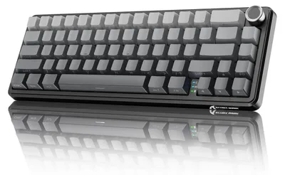 Immagine prodotto di Tastiera da gaming 65%, wireless, con tasti intercambiabili e illuminazione RGB