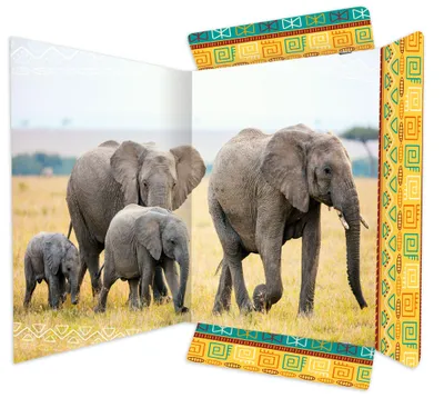 Produktbild von RNK Verlag Zeichnungsmappe "Elefant" DIN A3