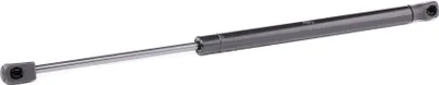 Produktbild von RIDEX 219G0892 Gasfeder Heckklappendämpfer für CITROËN DS5 425mm