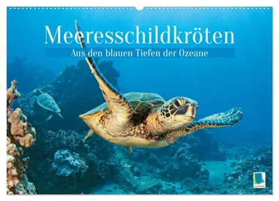 Produktbild von Meeresschildkröten: Aus den blauen Tiefen der Ozeane (Wandkalender 2027 DIN A2 quer), CALVENDO Monatskalender