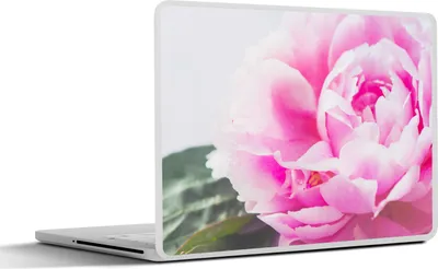 Produktbild von MuchoWow® Laptop Aufkleber Sticker Cover Nahaufnahme einer rosa Pfingstrose mit Blättern 30x22 cm - Laptop-Sticker