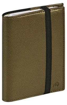 Produktbild von TIME&LIFE LARGE vz ML metal khaki El 2027
