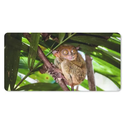 Produktbild von MuchoWow® Mauspad Mousepad Philippinischer Geist zwischen den grünen Blättern 60x30 cm - Mousepads - Maus Mat - Pad - Mausunterlage - Nachhaltig