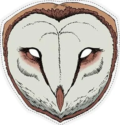 Productafbeelding van Masker van een sluieruil, 22x23 cm, 1 stuk.