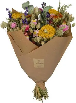 Produktbild von Getrocknete Blumen – Klassischer Blumenstrauß – Multi – 4 Sträuße – ↕60cm – Handgebunden & nachhaltig – Langlebige Trockenblumen Deko für Vase Tisch Geschenk