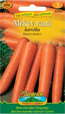 Image de Carotte carotte précoce