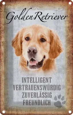 Produktbild von vianmo Blechschild 18x12 cm Golden Retriever Hund Tier Haustier
