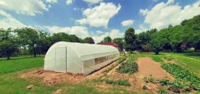Produktbild von Gewächshaus 4,5×10,5 m – Profi Treibhaus mit seitlicher Belüftung, UV-Folie & verstärkter Konstruktion