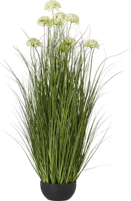 Obrázek produktu pro Hill Interiors - Umělá hrnková rostlina HI4925 (jedna velikost) (bílá)