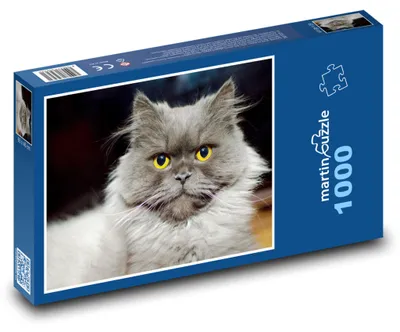 Obrázek produktu pro martinpuzzle - Puzzle 1000 - Kočka - kotě