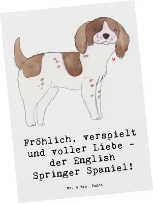 Produktbild von Mr. & Mrs. Panda Postkarte English Springer Spaniel Freude - Weiß - Geschenk, einzelkarte, Hunderassen Beschreibung, sozial, Verspielt, Eigenschaften, Postkarten, Familie